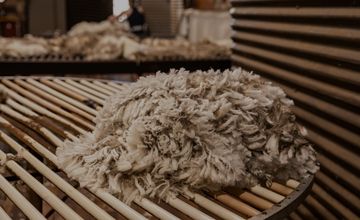 Wool supply chain